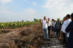 UAE to invest in Central Kalimantan's food crops