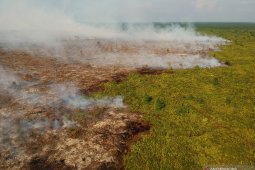 Kedalaman gambut yang terbakar di Kumpeh Ulu sulitkan pemadaman