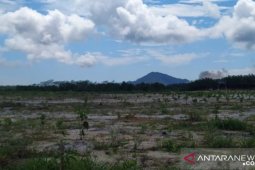 Pemkab Bangka Tengah masih andalkan tambang timah untuk gerakkan perekonomian
