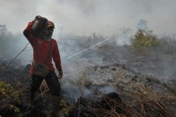 Tim Satgas Karhutla masih berjibaku padamkan api Karhutla di Muarojambi