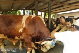Warga Tangerang diminta  perhatikan sertifikat kesehatan, jika beli hewan kurban