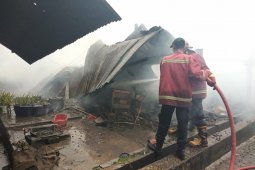 Gudang penyimpanan kardus bekas di Jambi terbakar
