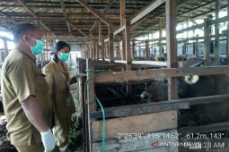 Distan periksa 1012 ekor hewan Qurban