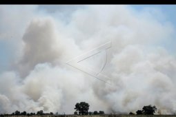 Kebakaran lahan di Sumatera Selatan