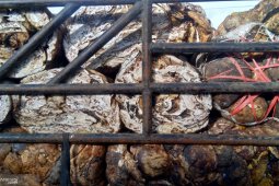 Kemenperin gandeng pemda dan BI pacu hilirisasi karet di Jambi