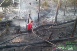 Jambi mulai terdampak asap karhutla, paling rawan radang tenggorokan