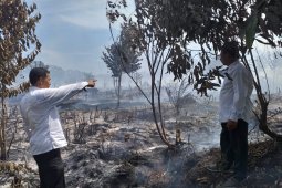 BMKG: Angin kencang pemicu meluasnya kebakaran di  Aceh