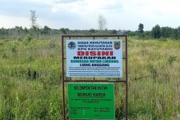 Pengamat : Sampah hasil pembersihan lahan bisa dijadikan kompos