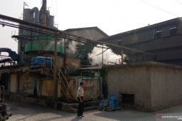 Revolusi Asam Sulfat