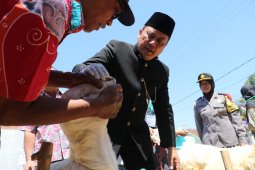 Masih ditemukan hewan tidak layak kurban