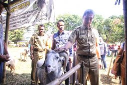 Pemkot Bogor dan Puslitbangnak gelar bursa hewan qurban