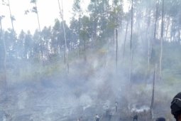 BMKG: 16 titik panas muncul di Aceh