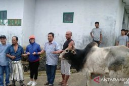 PLTA Batang Toru serahkan hewan kurban di Tapanuli Selatan