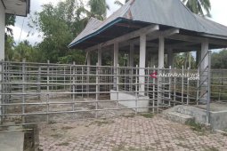 Aktifitas rumah potong hewan Dinas Pertanian Madina menjadi sorotan Banggar