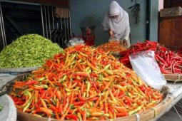 Cabai rawit di Singkawang capai Rp90.000/kg