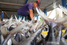 Harga ikan jelang tradisi meugang