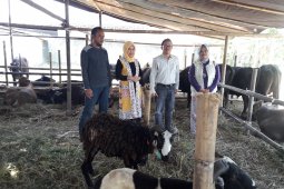Distan Banten pantau 17 lokasi pemotongan hewan kurban,  pastikan kesehatan hewan
