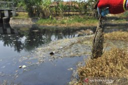 LIMBAH INDUSTRI CEMARI SUNGAI CIDURIAN