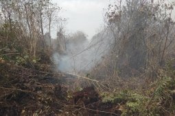 Satgas Karhutla Muarojambi masih berjibaku atasi kebakaran di Kumpeh