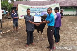 Bupati serahkan hewan kurban