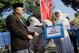 Masjid Al Akbar gunakan besek dan daun jati bungkus daging kurban (Video)