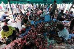 Daging kurban Idul Adha