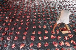 Dari hewan kurban lepas hingga Idul Adha tanpa plastik