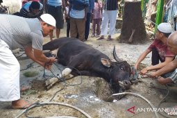 Khatib ingatkan jamaah ikuti panutan nabi dalam berkurban