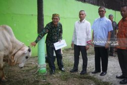 PDAM Titanadi Medan serahkan 21 hewan kurban kepada masyarakat