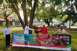 BNI syariah Banda Aceh sumbang enam ekor kurban