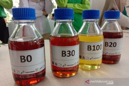 President orders reduce oil, gas imports to cut CAD