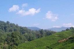 Pemkab Bogor kenalkan destinasi wisata ke mata dunia lewat "Halimun Youth Camp" 2019