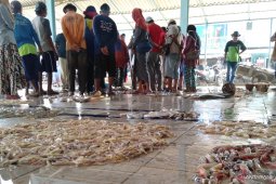 Setoran retribusi TPI Karawang tidak pernah capai target