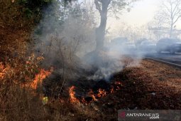 Bupati Kutim Ismunandar ingatkan kewaspadaan Karhutla