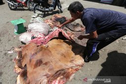 Pedagang pengumpul kulit hewan kurban