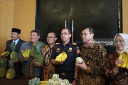 Kemenko Perekonomian dorong ekspor produk hortikultura