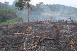 Polres Bengkayang tangkap dua warga yang membakar lahan