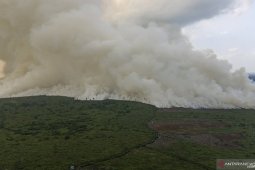 Land and forest fires have not distrupted tourism: Minister
