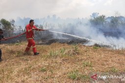 Lahan PPN Sungailiat terbakar (Video)