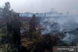 Polisi catat lima hektare lahan gambut milik pemerintah terbakar
