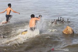 Lomba tangkap bebek di laut