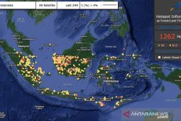 Bambang Haryo: Pemerintah Tak Mampu Atasi Karhutla
