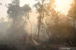 DLH Paser maksimalkan Brigade Karhutla