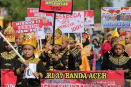 Pawai Budaya HUT Kemerdekaan