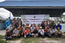 BRG kurangi pembakaran lahan melalui sekolah lapangan