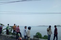 Ada buaya di Pantai Carocok Painan, panjangnya sampai lima meter