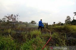 Lahan terbakar seluas 5.500 meter persegi selama Agustus