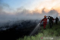 Luas area yang terbakar di Sumatera Selatan capai 1.822 hektare