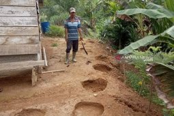 Puluhan warga Nagan Raya mengungsi akibat amukan gajah