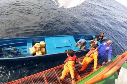 Basarnas temukan tiga korban  longboat hilang